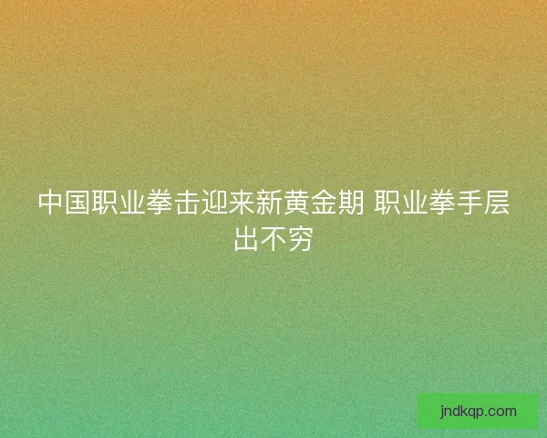 中国职业拳击迎来新黄金期 职业拳手层出不穷